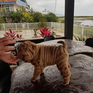 Meet your Posher, James